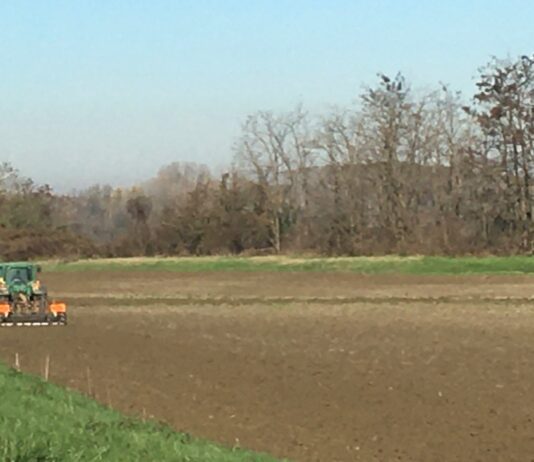 Cereali e dintorni. Poche speranze di cambiamento di rotta