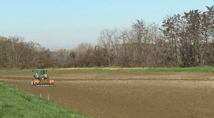 Cereali e dintorni. Navi a picco e cereali alle stelle