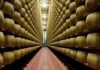 Il Consorzio Parmigiano Reggiano ha chiesto che le immagini della Dop presenti nel film Toscana vengano eliminate