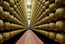 Il Consorzio Parmigiano Reggiano ha chiesto che le immagini della Dop presenti nel film Toscana vengano eliminate