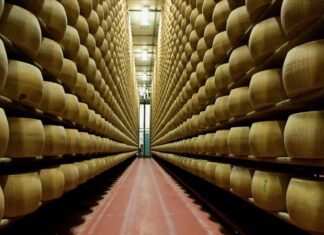 Il Consorzio Parmigiano Reggiano ha chiesto che le immagini della Dop presenti nel film Toscana vengano eliminate