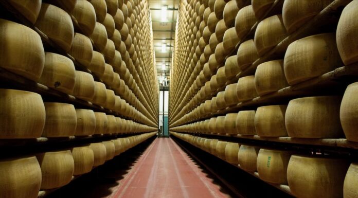 Il Consorzio Parmigiano Reggiano ha chiesto che le immagini della Dop presenti nel film Toscana vengano eliminate
