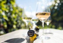 VENDEMMIA 2022 in Alto Adige