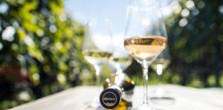 VENDEMMIA 2022 in Alto Adige