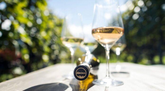 VENDEMMIA 2022 in Alto Adige