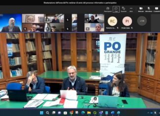 Rinaturazione dell’area del Po