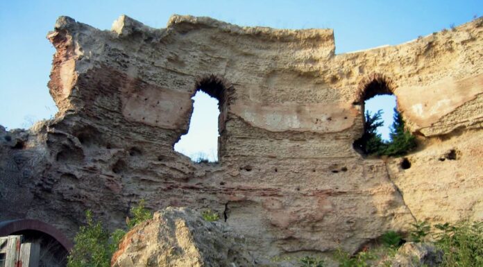 Campi Flegrei, tra poeti, artisti, piedirosso e falanghina