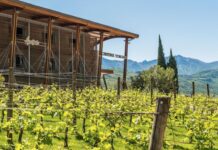 Cantina Toblino presenta il nuovo Vent riserva Trento DOC