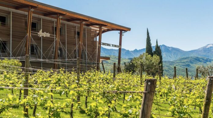 Cantina Toblino presenta il nuovo Vent riserva Trento DOC