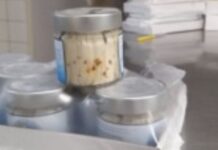 Alert. Larve di Anisakis nelle alici marinate.