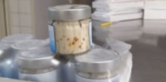 Alert. Larve di Anisakis nelle alici marinate.