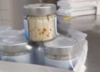 Alert. Larve di Anisakis nelle alici marinate.