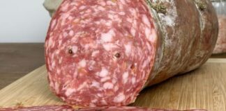 Alert. Salmonella typhimurium in salame stagionato. Scatta l’allarme del ministero della Salute “Non mangiatelo”