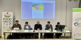 Biogas e Filiera del Parmigiano Reggiano