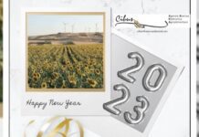 …Che il 2023 sia veramente un Buon Anno!