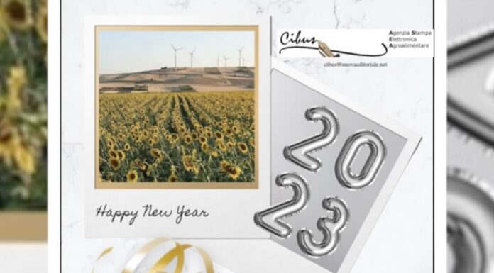 …Che il 2023 sia veramente un Buon Anno!