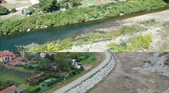 Anche lungo l’asta del Po e negli affluenti si diffonde il “Poligono del Giappone” con ripercussioni ambientali e di sicurezza