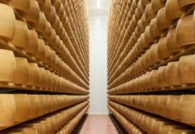 Parmigiano Reggiano: positivi i dati del 2022