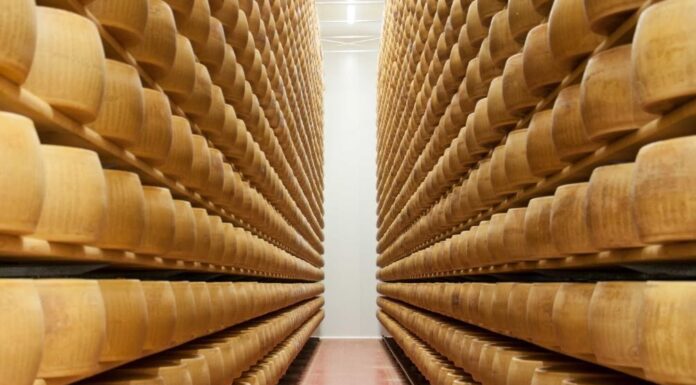 Parmigiano Reggiano: positivi i dati del 2022