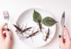 Mangiare insetti: una questione ambientale o un’altra “lotta di classe”?