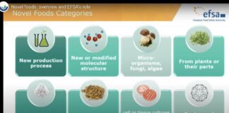 Ingredienti nascosti nei cibi che acquistiamo: un grave rischio per la salute