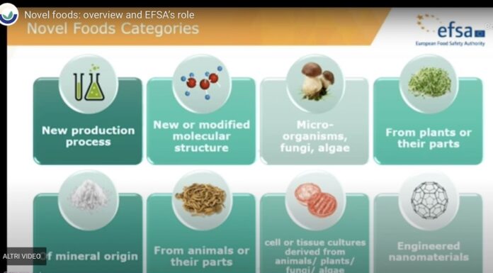 Ingredienti nascosti nei cibi che acquistiamo: un grave rischio per la salute