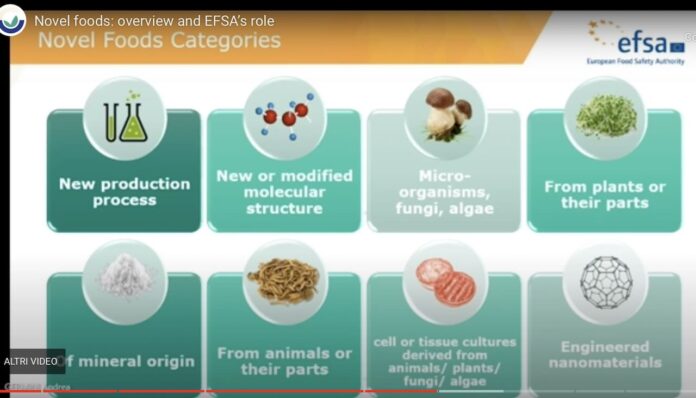 novel food EFSA