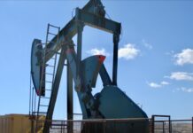 Carburanti e il tormentone delle accise. E’ responsabilità di tutti tranne dei distributori. Adesso BASTA!