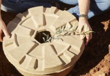 Tree Cocoon, una tecnica innovativa che favorisce la riforestazione