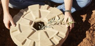 Tree Cocoon, una tecnica innovativa che favorisce la riforestazione