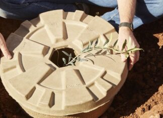 Tree Cocoon, una tecnica innovativa che favorisce la riforestazione