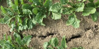 Climate Change. Non possiamo più attendere, dobbiamo invertire la rotta.