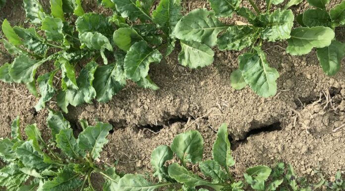 Climate Change. Non possiamo più attendere, dobbiamo invertire la rotta.