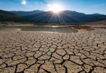 Cereali e dintorni. Un USDA tranquillo.