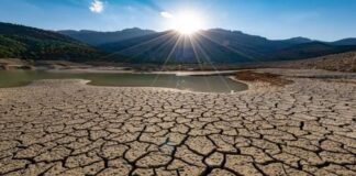 Cereali e dintorni. Un USDA tranquillo.