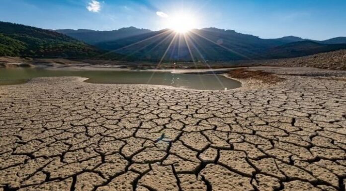 Cereali e dintorni. Un USDA tranquillo.