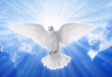 Guerra, Pace, Armi… Evviva la Politica, unica salvezza per l’umanità.