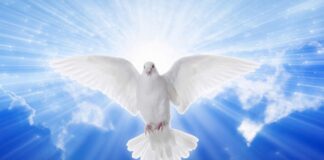 Guerra, Pace, Armi… Evviva la Politica, unica salvezza per l’umanità.