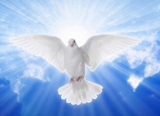 Guerra, Pace, Armi… Evviva la Politica, unica salvezza per l’umanità.