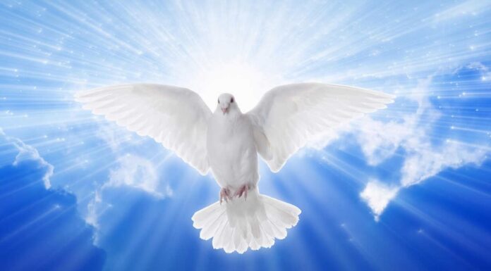 Guerra, Pace, Armi… Evviva la Politica, unica salvezza per l’umanità.