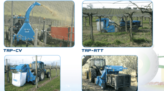 Dalla crisi del gas al recupero delle biomasse. Le soluzioni di Nobili spa.