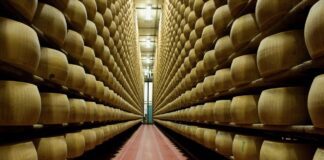 Intesa Sanpaolo e Il Consorzio Del Formaggio insieme per finanziare le aziende consorziate con il pegno rotativo
