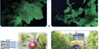 Nobili ES, per un’efficienza “green” su tutte le colture.