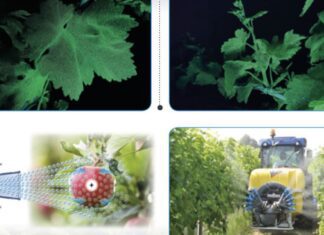 Nobili ES, per un’efficienza “green” su tutte le colture.