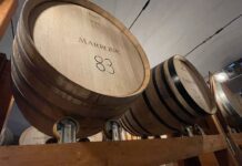 Barolo, un vino, un territorio