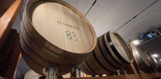 Barolo, un vino, un territorio