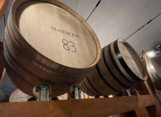 Barolo, un vino, un territorio