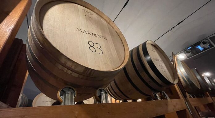 Barolo, un vino, un territorio