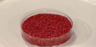 Carni sintetiche: l’importazione è sempre possibile…purtroppo