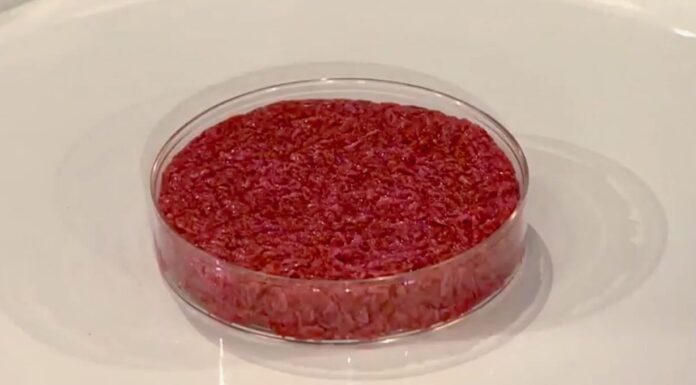 Carni sintetiche: l’importazione è sempre possibile…purtroppo